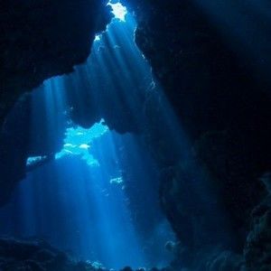 Meet your Posher, Leilani